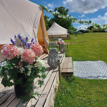 Wadhurst Hopgarden Glamping - Luxury 6M Bell Tent מראה חיצוני תמונה