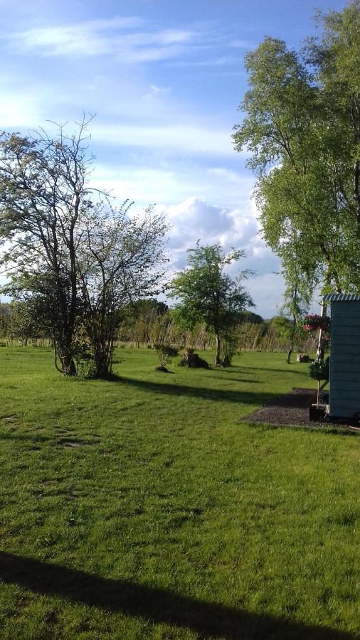 Wadhurst Hopgarden Glamping - Luxury 6M Bell Tent מראה חיצוני תמונה