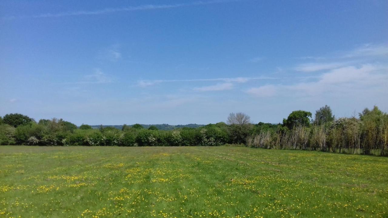 Wadhurst Hopgarden Glamping - Luxury 6M Bell Tent מראה חיצוני תמונה