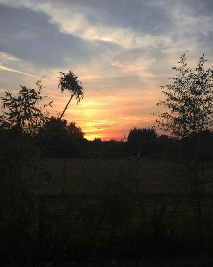 Wadhurst Hopgarden Glamping - Luxury 6M Bell Tent מראה חיצוני תמונה