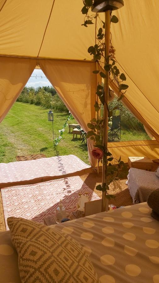 Wadhurst Hopgarden Glamping - Luxury 6M Bell Tent מראה חיצוני תמונה