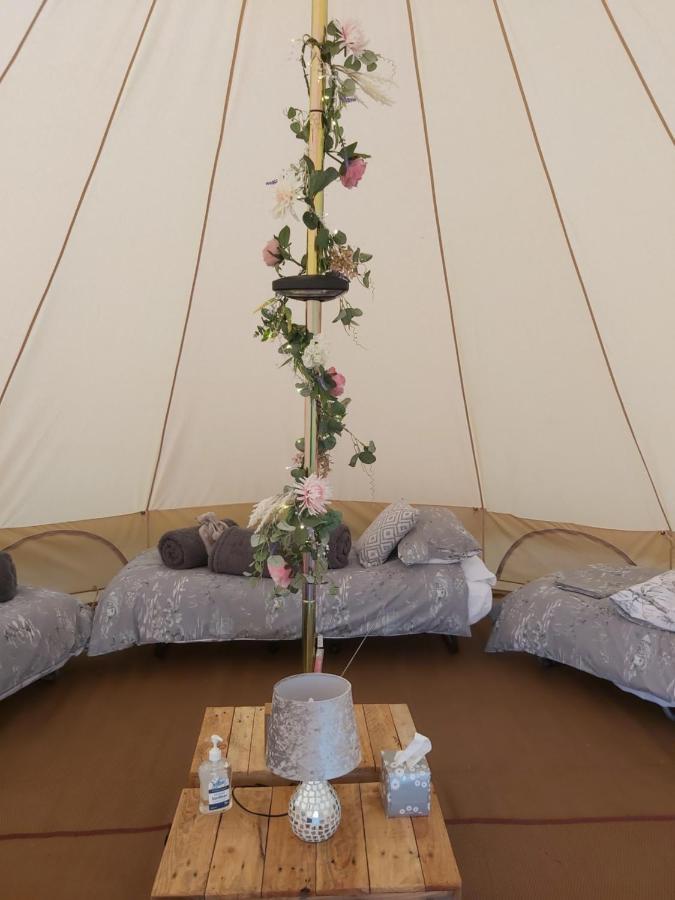 Wadhurst Hopgarden Glamping - Luxury 6M Bell Tent מראה חיצוני תמונה