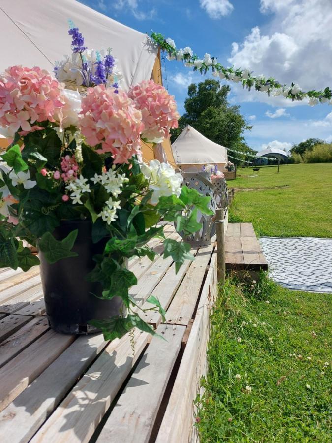 Wadhurst Hopgarden Glamping - Luxury 6M Bell Tent מראה חיצוני תמונה