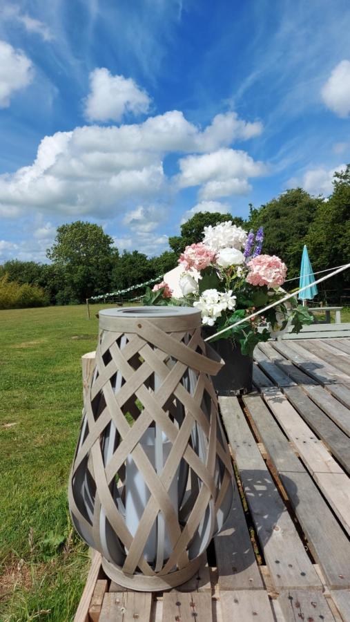 Wadhurst Hopgarden Glamping - Luxury 6M Bell Tent מראה חיצוני תמונה