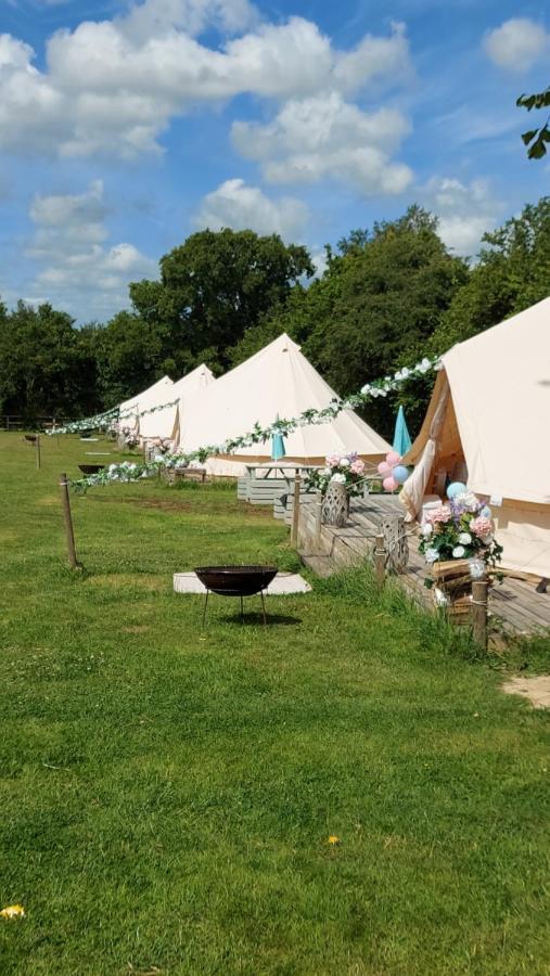 Wadhurst Hopgarden Glamping - Luxury 6M Bell Tent מראה חיצוני תמונה