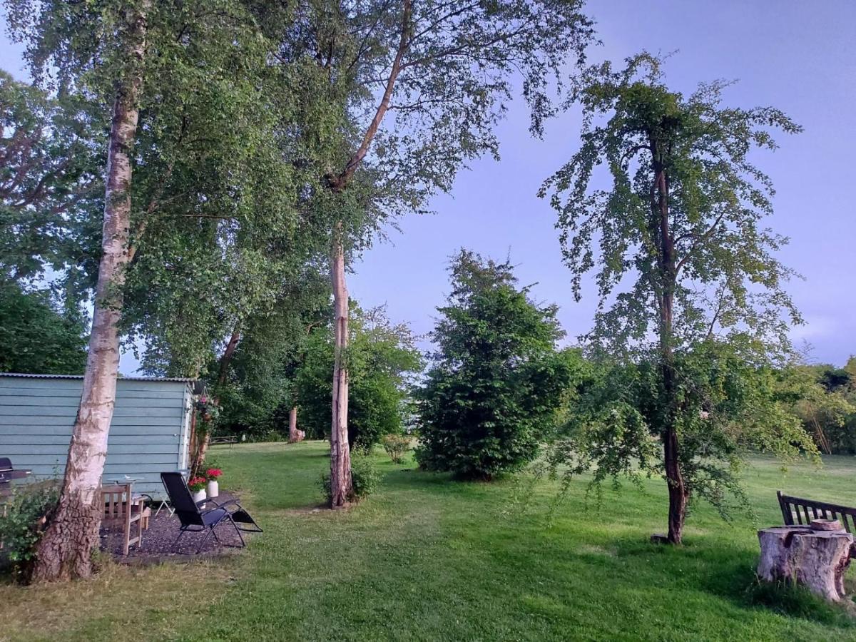 Wadhurst Hopgarden Glamping - Luxury 6M Bell Tent מראה חיצוני תמונה