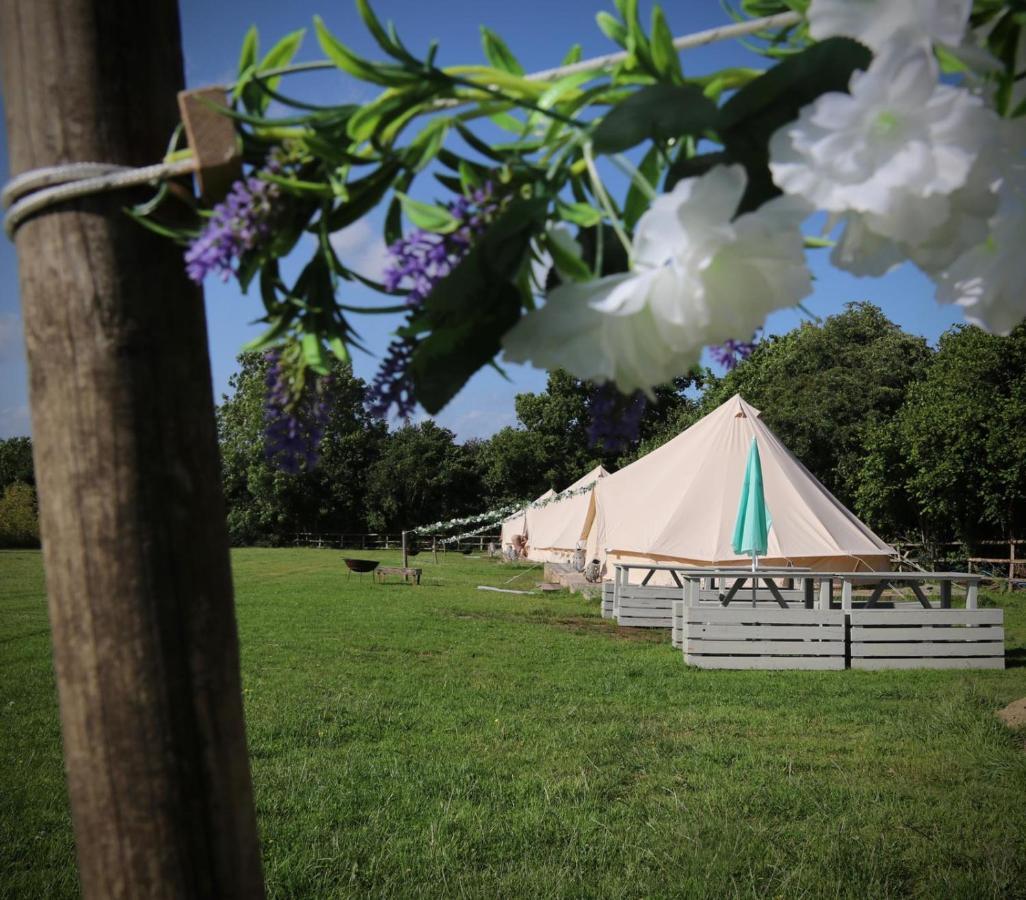 Wadhurst Hopgarden Glamping - Luxury 6M Bell Tent מראה חיצוני תמונה