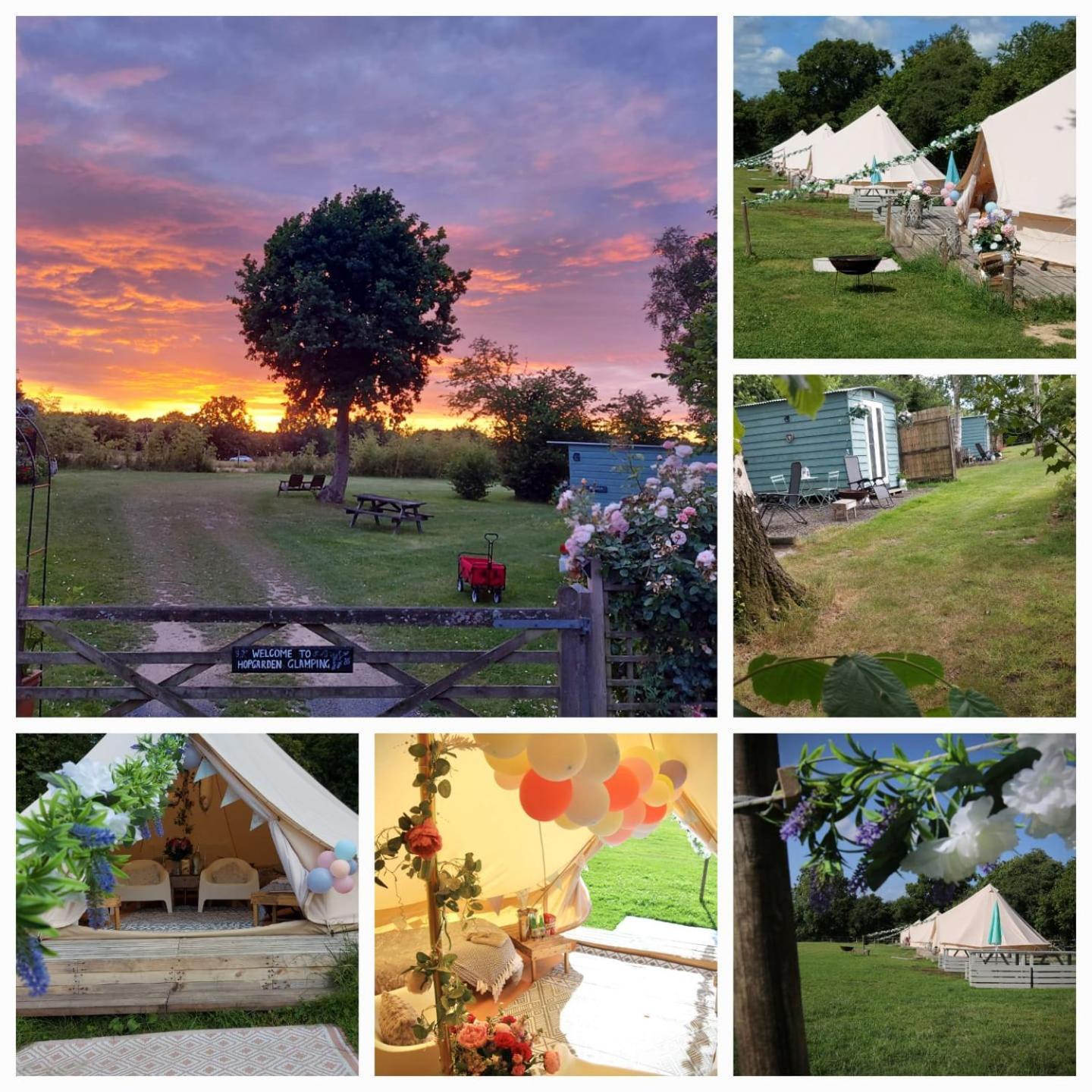 Wadhurst Hopgarden Glamping - Luxury 6M Bell Tent מראה חיצוני תמונה